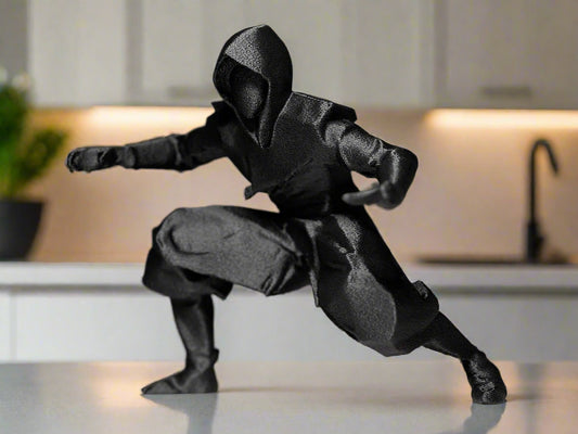 Shadow Ninja Warrior