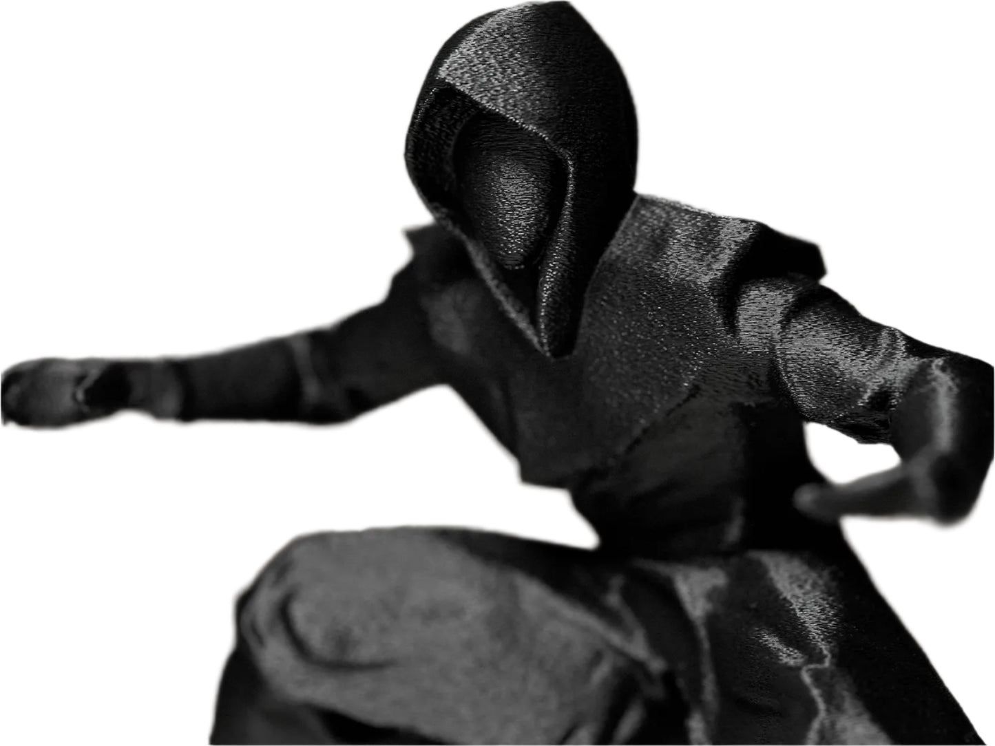 Shadow Ninja Warrior