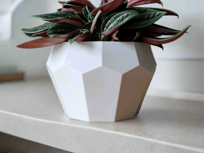 Tall Geometrical Bonsai Pot – Elegant 3D-Printed Plant Holder