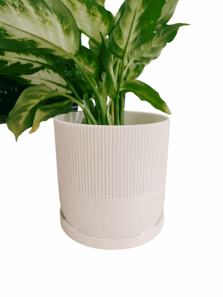 Mid-Century Modern Planter – Stylish 3D-Printed Pot with Tray