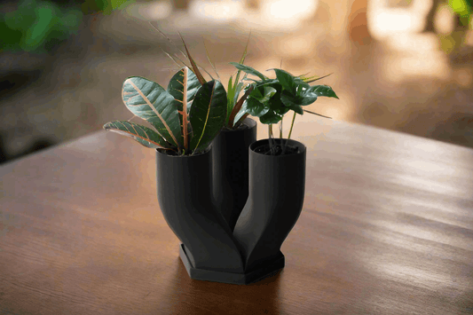 Tri-Pot - Unique Plant Holder