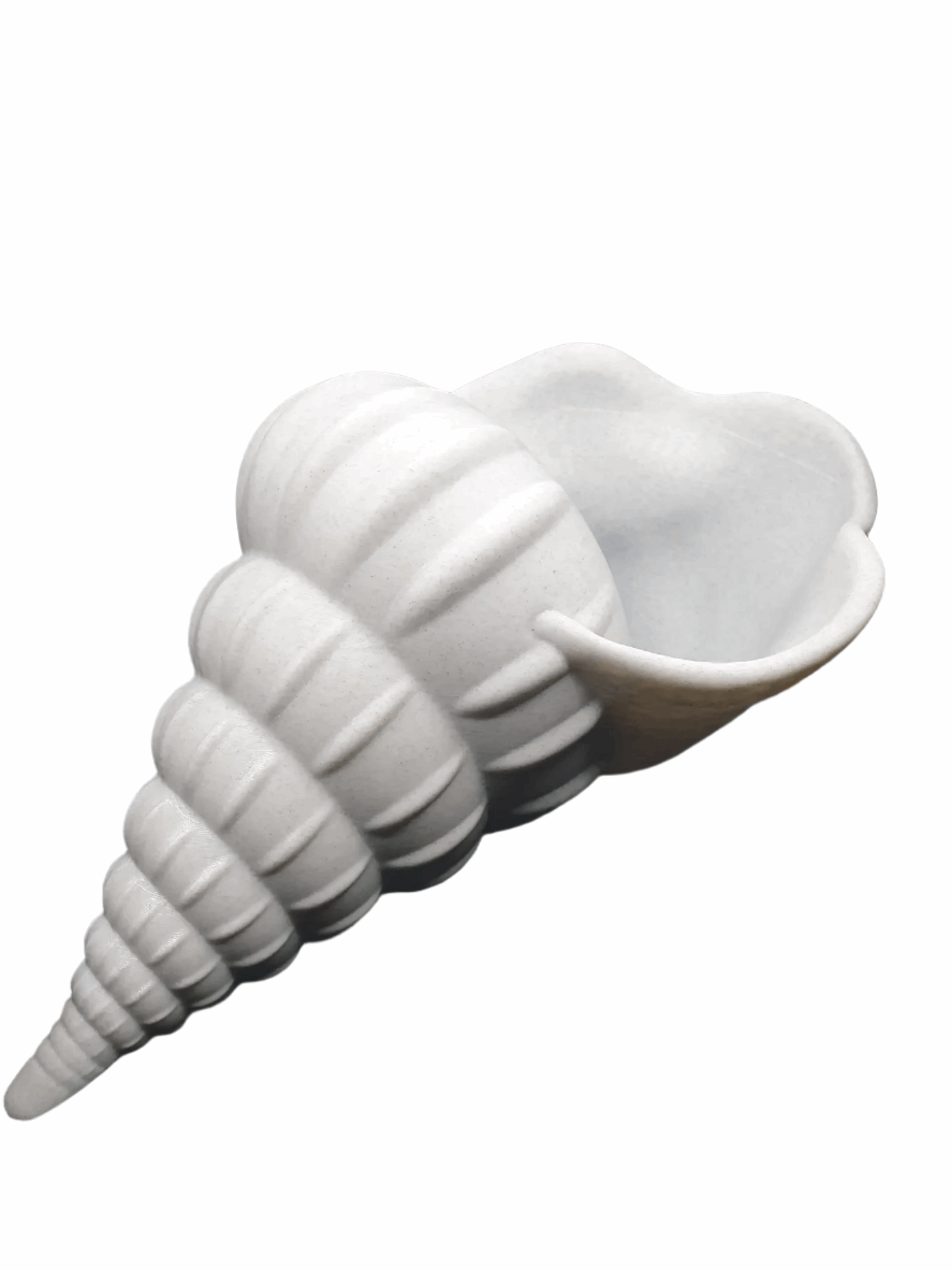 Elegant Seashell-Shaped Flower Pot