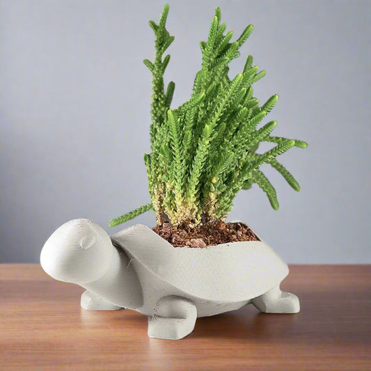 3D Printed Turtle Planter – Cute and Functional Succulent Pot