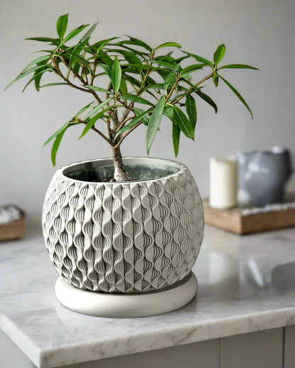 Bloom Planter Pot – Modern 3D-Printed Floral-Inspired Plant Holder