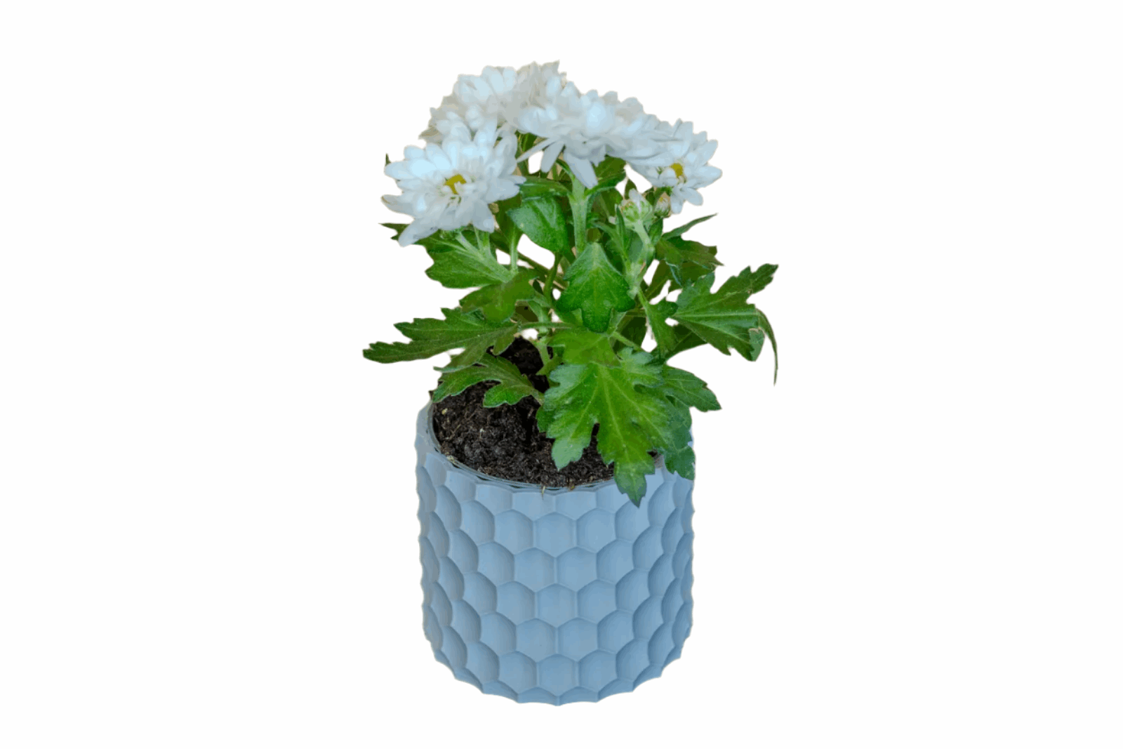 Dimple Planter - Modern Plant Holder