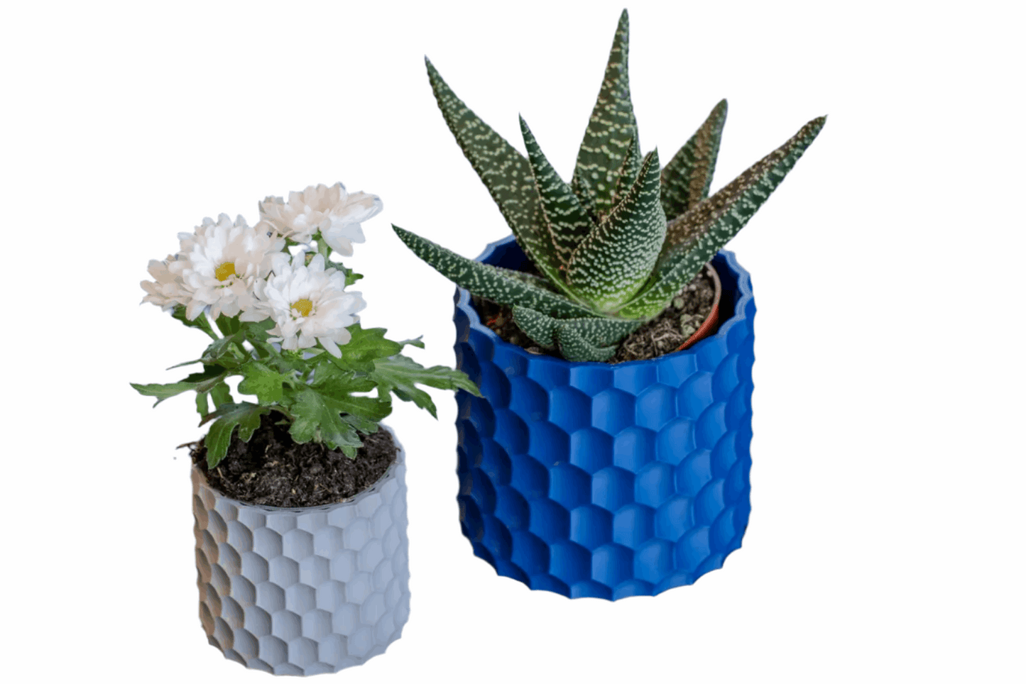 Dimple Planter - Modern Plant Holder