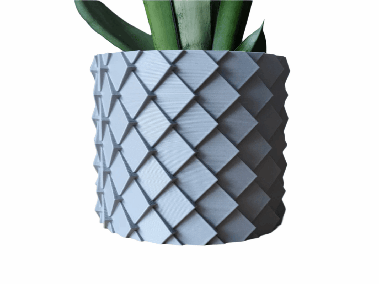Dragon Scales Planter