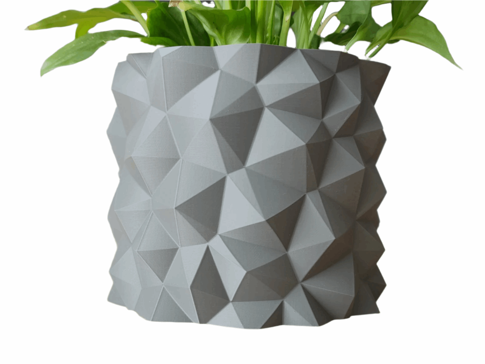 Parametric Rock Planter