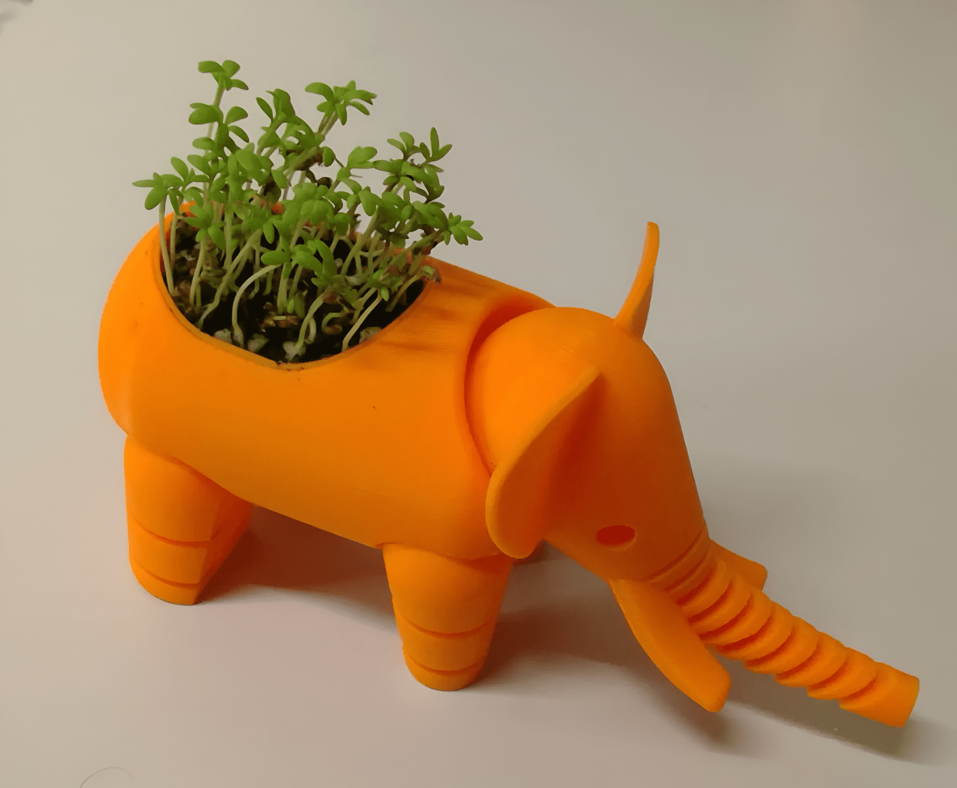 Adorable 3D Printed Elephant Planter - Celestial Crafts