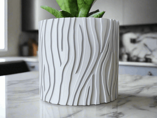 Zebra Striped Planter